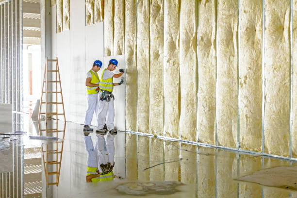 Best Residential Insulation in Sapulpa, OK